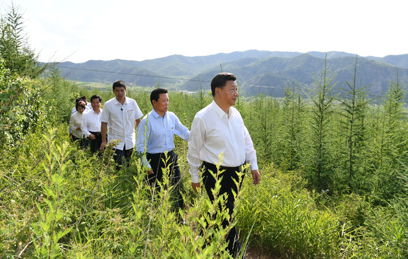 7月15日至16日，中共中央總書記、國家主席、中央軍委主席習(xí)近平在內(nèi)蒙古考察并指導(dǎo)開展“不忘初心、牢記使命”主題教育。這是15日下午，習(xí)近平在赤峰市喀喇沁旗馬鞍山林場林區(qū)，沿著崎嶇的護(hù)林小道察看林木長勢。