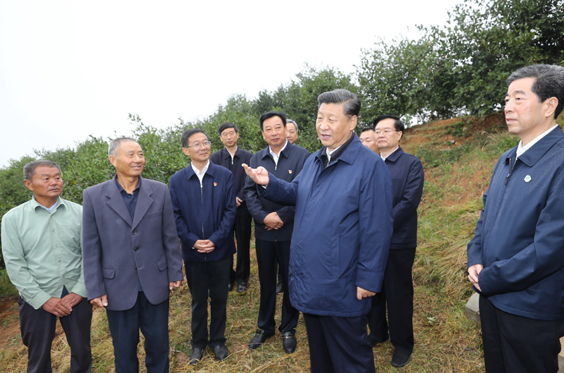 　　9月16日至18日，中共中央總書記、國家主席、中央軍委主席習(xí)近平在河南考察。這是17日上午，習(xí)近平來到信陽市光山縣槐店鄉(xiāng)司馬光油茶園，同正在勞作的村民和管理人員交流。 新華社記者 鞠鵬 攝