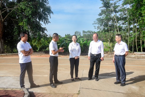 湛江市人大常委會黨組副書記、副主任陳云率隊到遂溪縣建新鎮(zhèn)車路頭村開展典型村創(chuàng)建調研工作